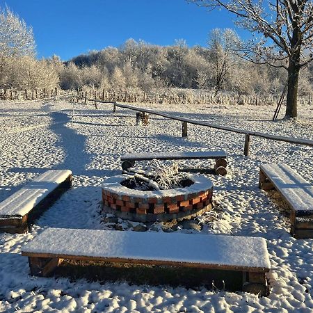 Casuta Din Stejari-Transalpina Βίλα Novaci-Străini Εξωτερικό φωτογραφία